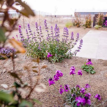 Zeezand Recreatie Cozy Chalets Stolpen Exterior foto